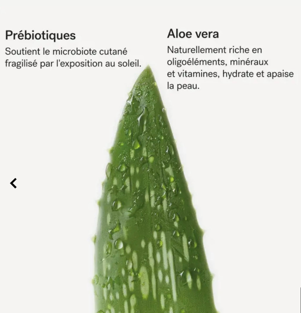 Typology -After-sun body emulsion prebiotics 1% + aloe vera